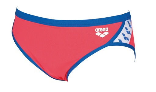 ARENA Team Stripe Men's Brief Swimsuit