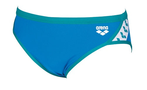 ARENA Team Stripe Men's Brief Swimsuit