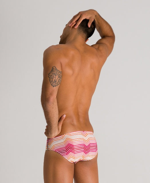 ARENA Multicolor Stripes Brief