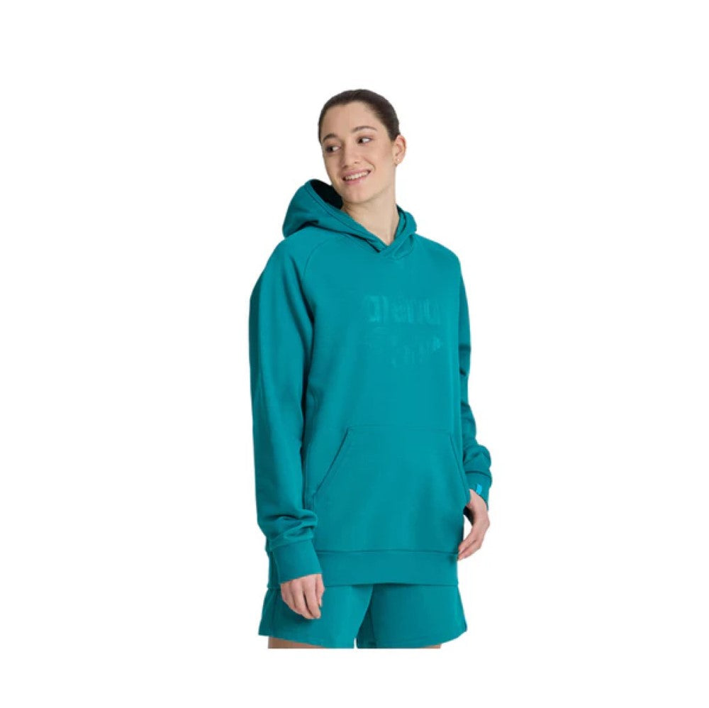 ARENA Hooded Sweat Logo