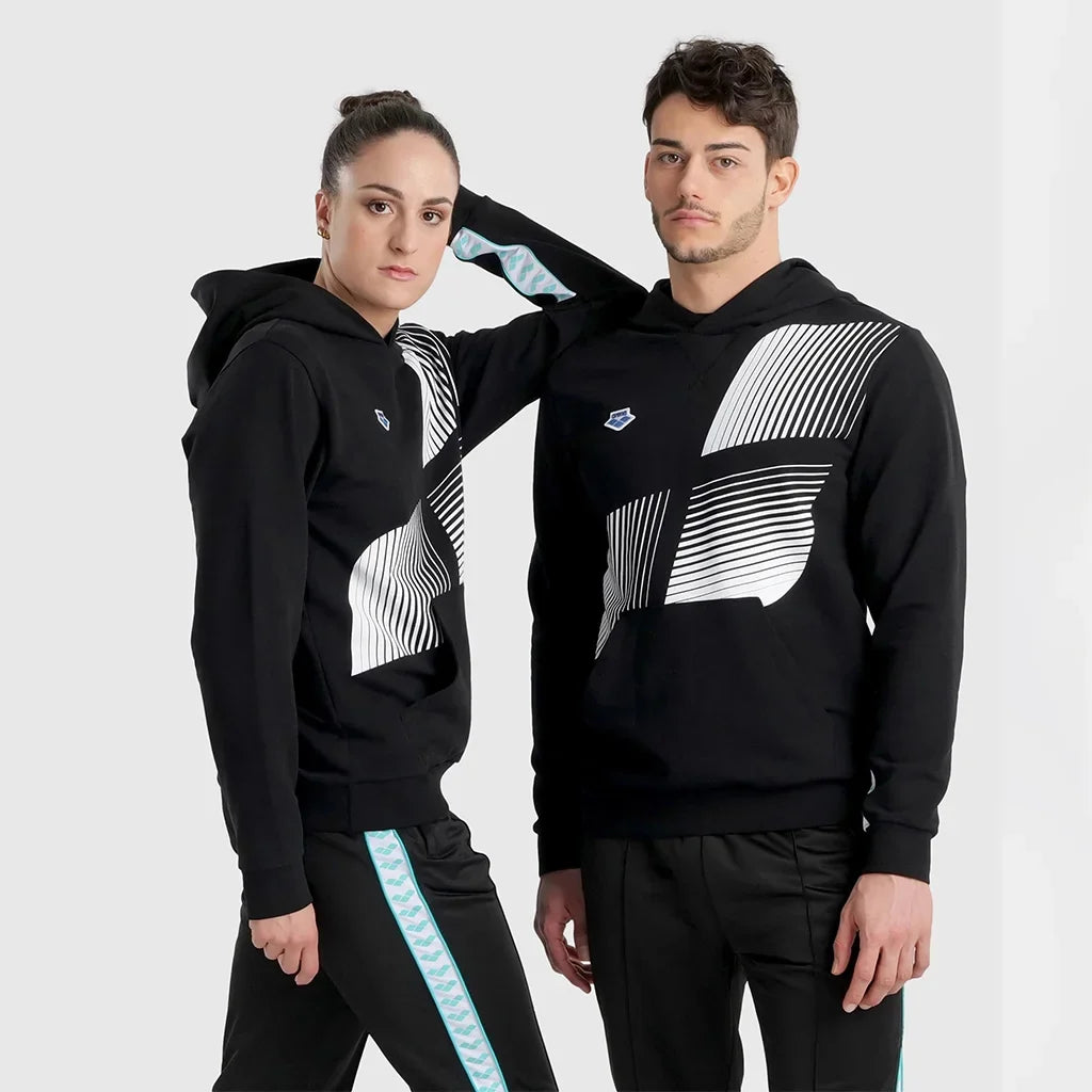 Arena ARENA ICONS HOODED SWEAT SOLID LOGO UNI ADULT