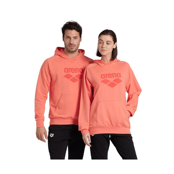 Arena ARENA HOODED SWEAT GRAPHIC Team Essential UNI ADULT