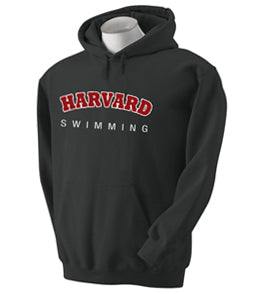 https://web.metroswimshop.com/images/HV9301.jpg