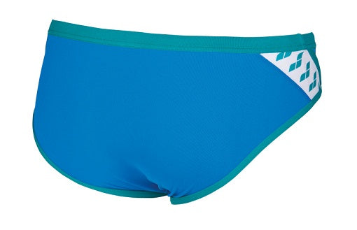 ARENA Team Stripe Men&#39;s Brief Swimsuit