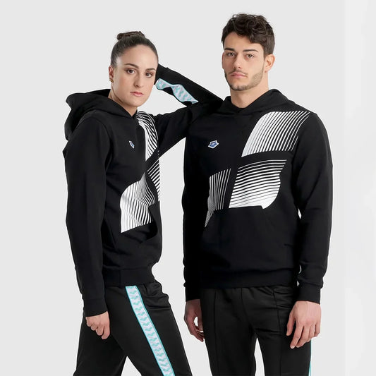 Arena ARENA ICONS HOODED SWEAT SOLID LOGO UNI ADULT