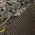 rtmx1xt/br