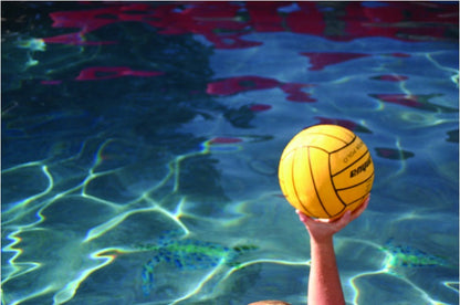 https://web.metroswimshop.com/images/416.jpg