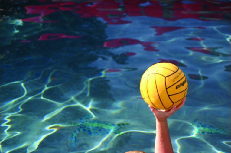 https://web.metroswimshop.com/images/416.jpg
