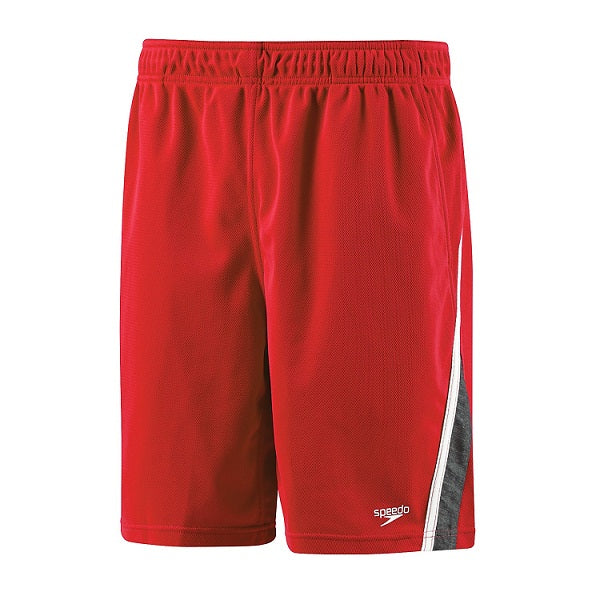 SPEEDO Male Team Short