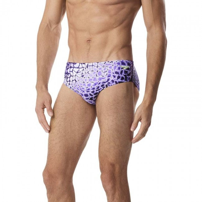 SPEEDO Prism Racer Brief Swimsuit