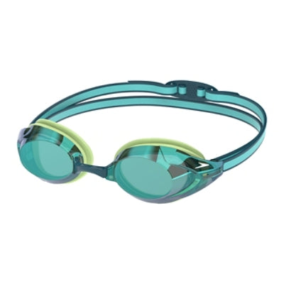 SUCCULENT/STEEL/EMERALD MIRROR (310)