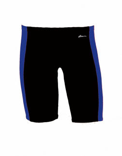 DOLFIN Ocean Panel Jammer
