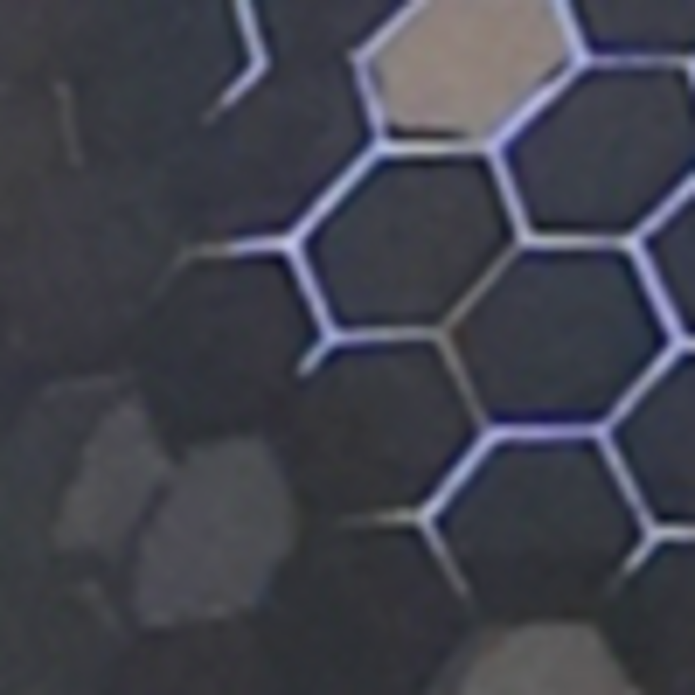 CCHX7A_001