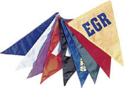 Vinyl Backstroke Flags