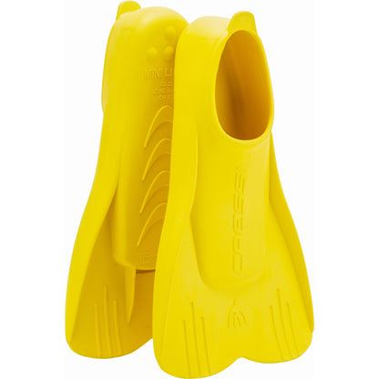 DP30_yellow