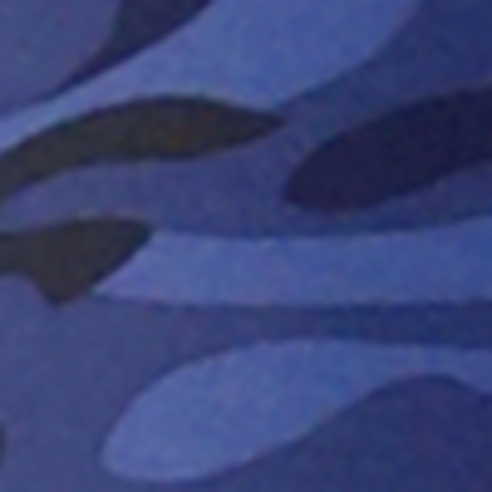 RMCM7A_401