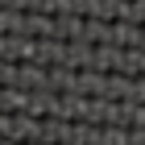 Carhartt Canvas Mesh Back Cap CT105298