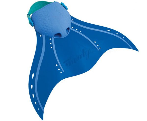 Finis Aquarius